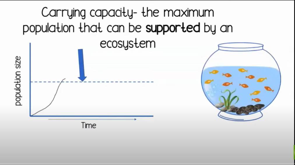 Carrying Capacity