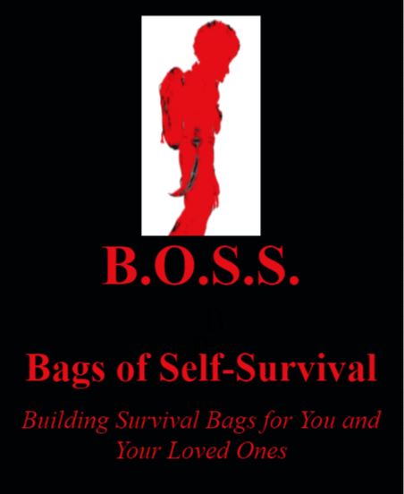 Image_for_B.O.S.S._Website_Page